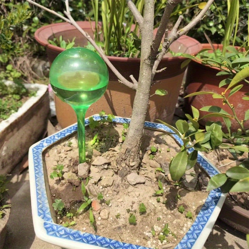 Set di 6 Palline Autoirriganti - Plant Parent Kit recensione e prezzo