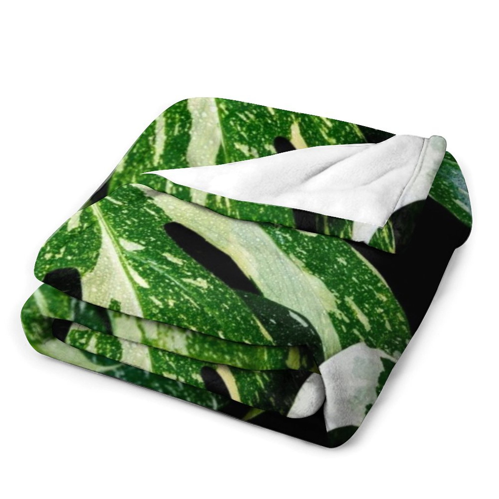 Coperta Monstera Thai Constell - Monstera Thai Constellation recensione e prezzo